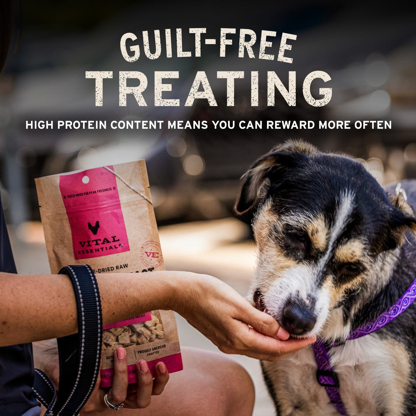 Freeze-Dried Beef Tripe Bites Dog Treats