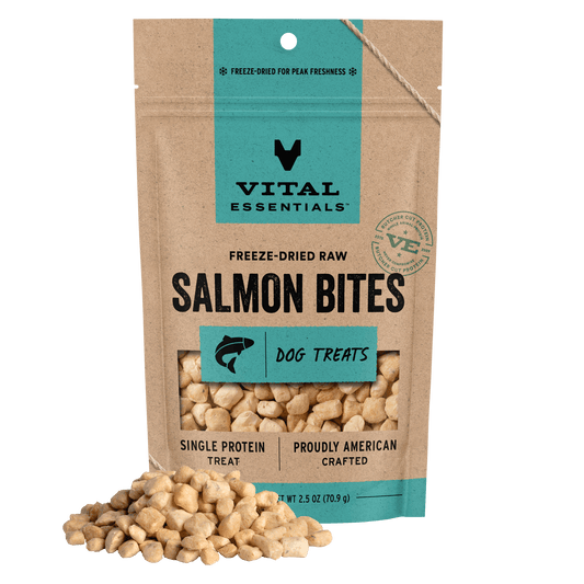 Vital Essentials Freeze-Dried Raw Salmon Bites dog treats, single protein, 2.5 oz bag with treat pile