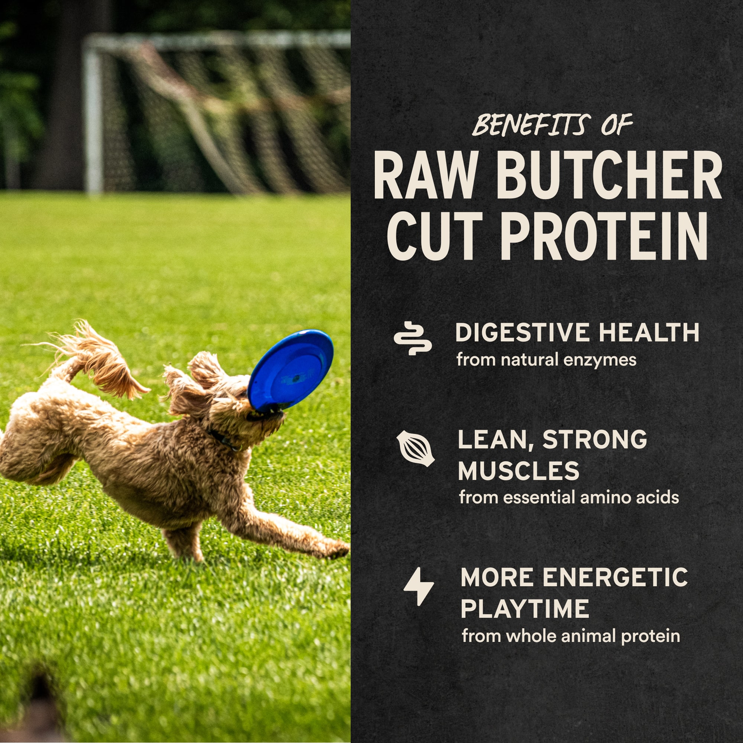 Duck Hearts Dog Treats Benefits of Raw Butcher Cut Protein