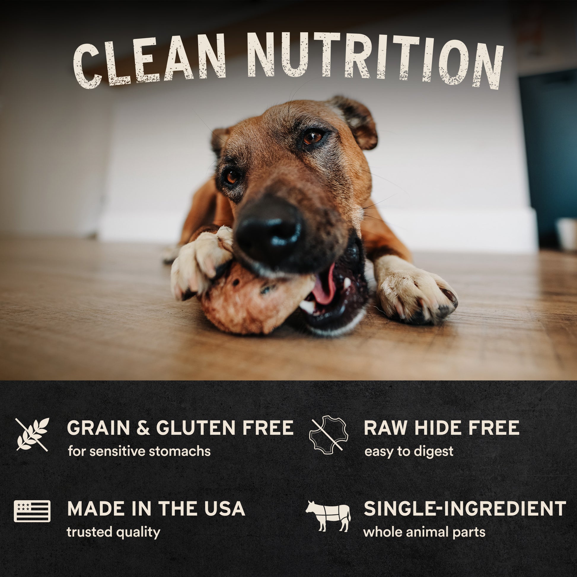 Clean nutrition infographic: grain and gluten free, raw hide free, made in USA, single-ingredient with dog chewing treat