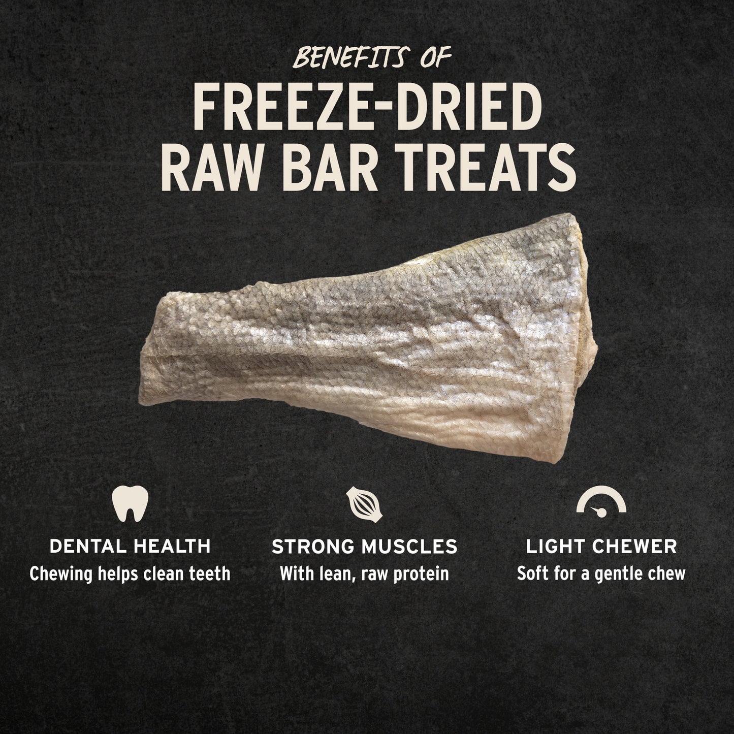 Benefits of Raw Bar silver carp filet treats: dental health, strong muscles from lean protein, soft for light chewers
