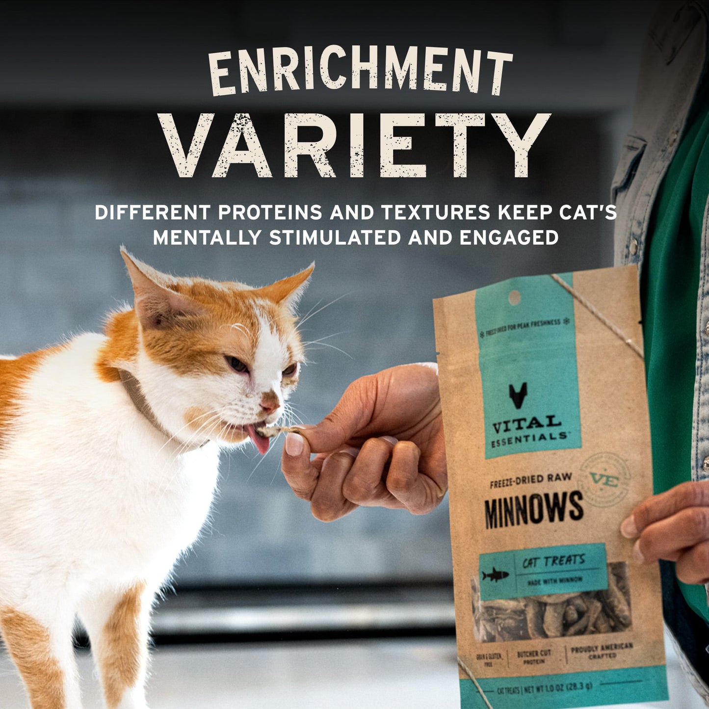Cat eating Vital Essentials treat from person's hand with enrichment variety text overlay