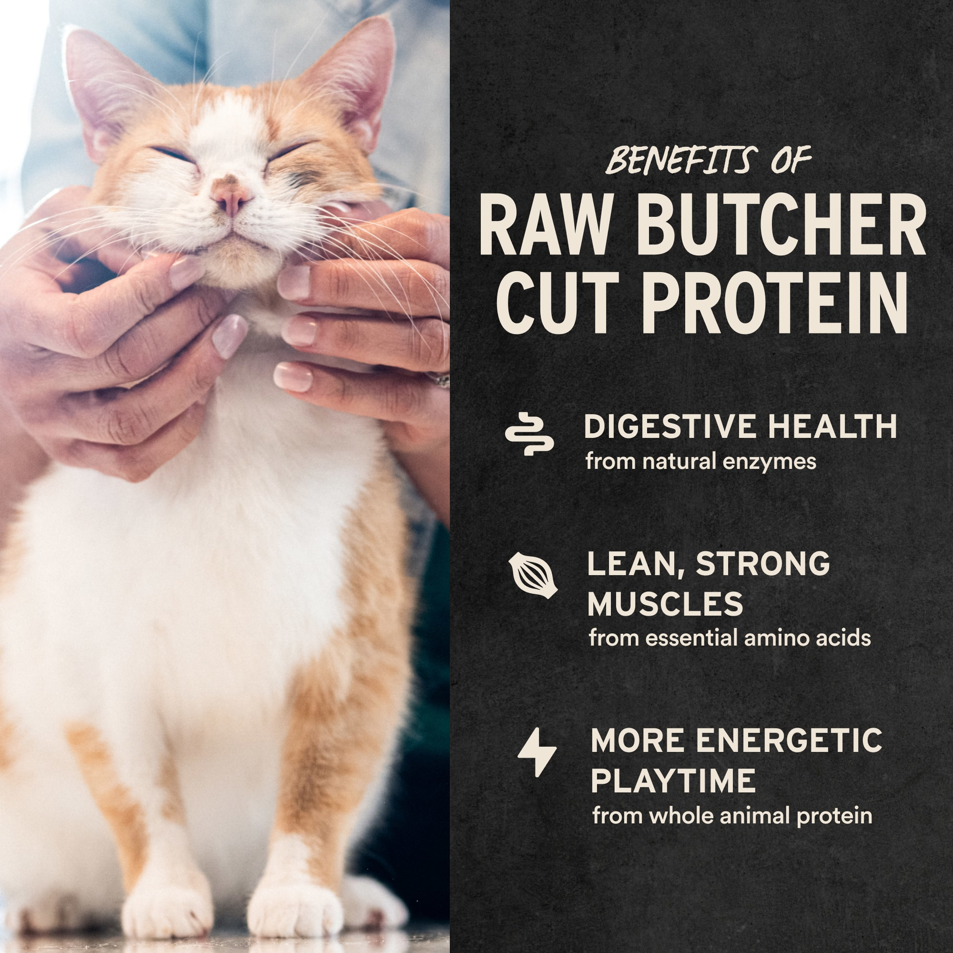 Chicken Hearts Cat Treats Benefits of Raw Butcher Cut Protein