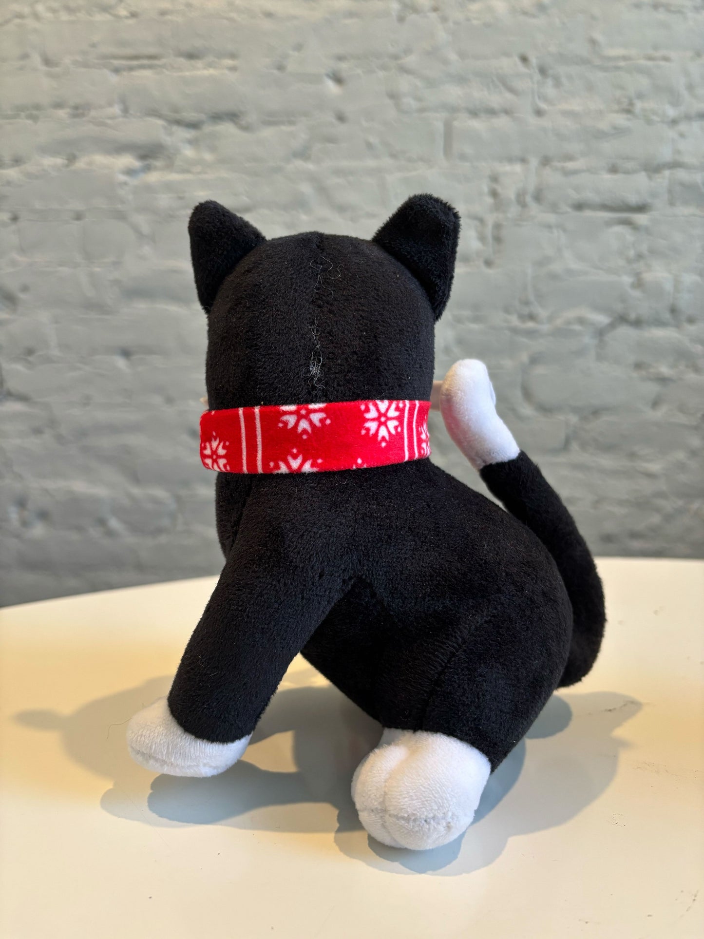 Kitty On The Counter